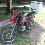 The Ride of My Life: Or Why My Son is Now Taller Than I Am
